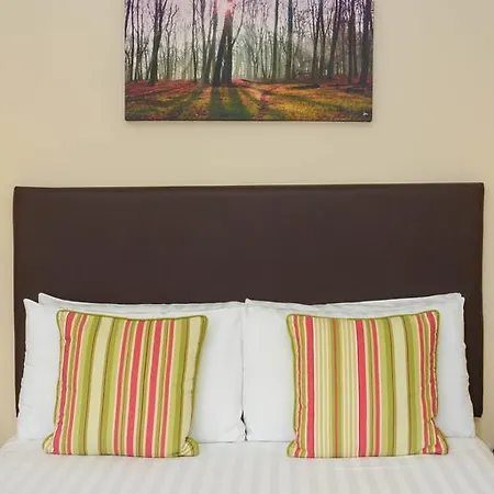 阿什维尔旅馆 招待所